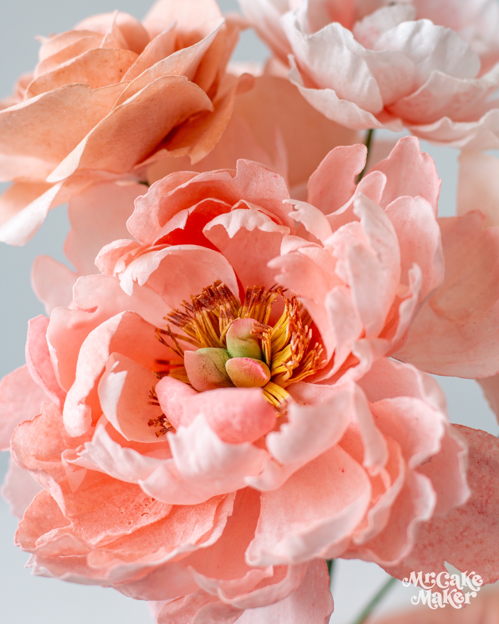 Close-up of a hand-crafted wafer paper peony by Mr. Cake — blush and salmon petals with golden stamens